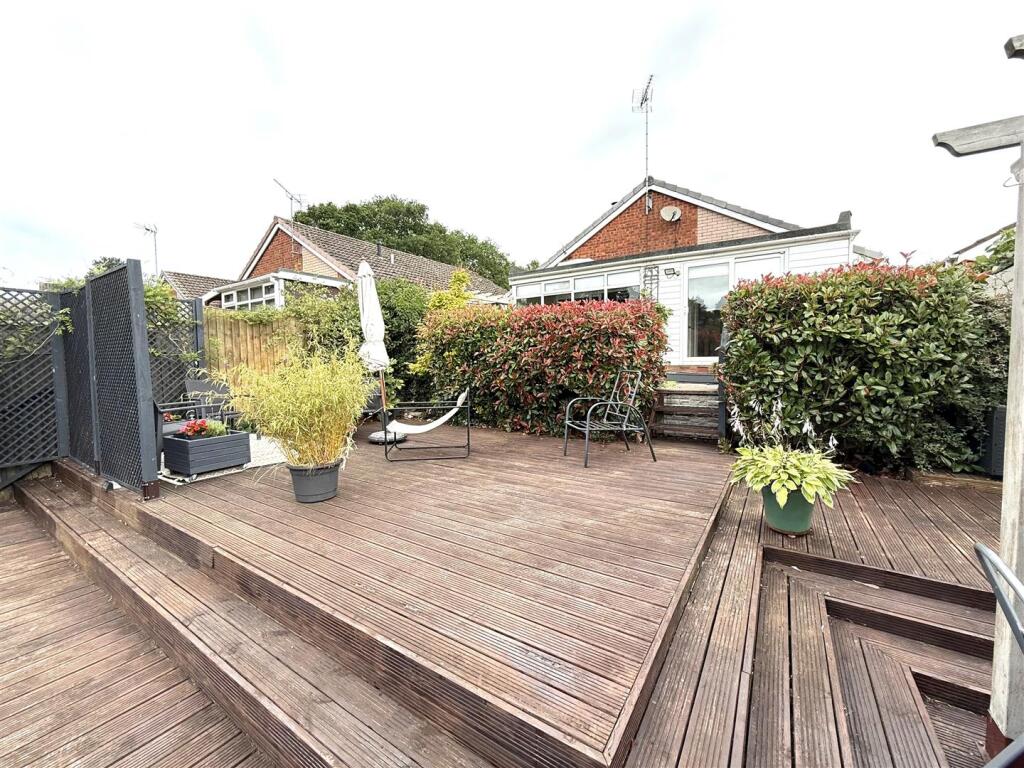 17 finches rear.jpeg