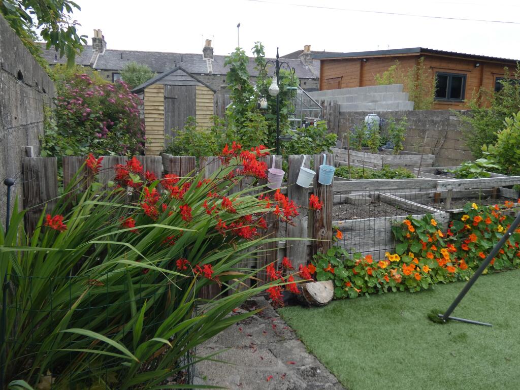 GARDEN