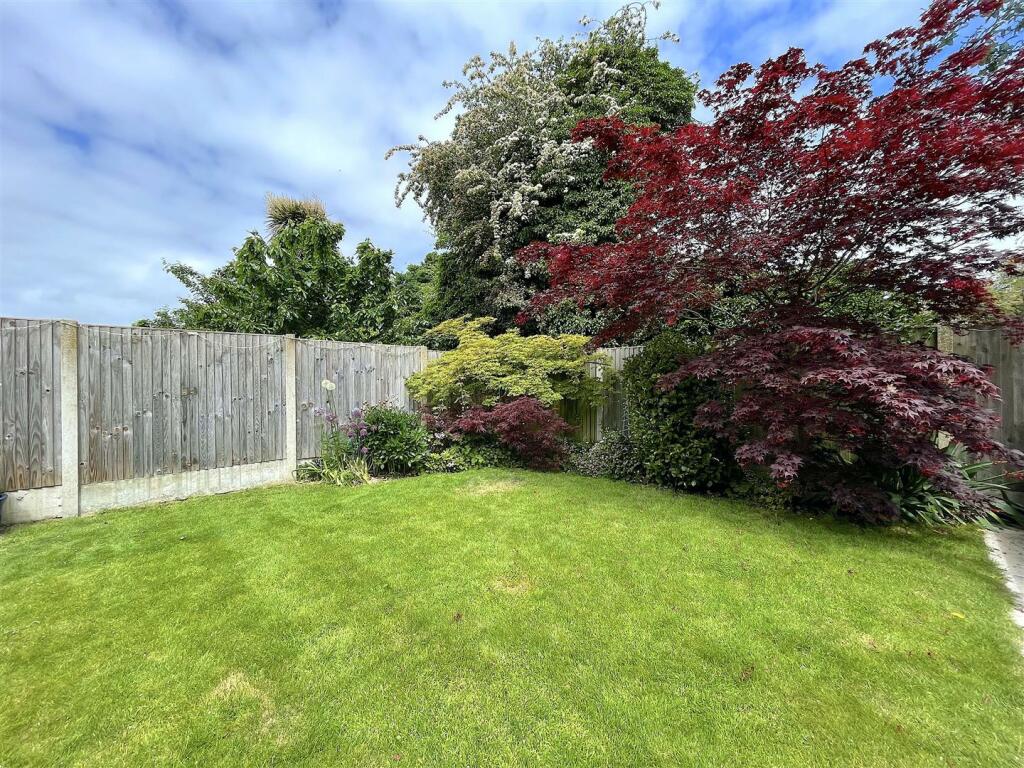 Garden (6).jpeg