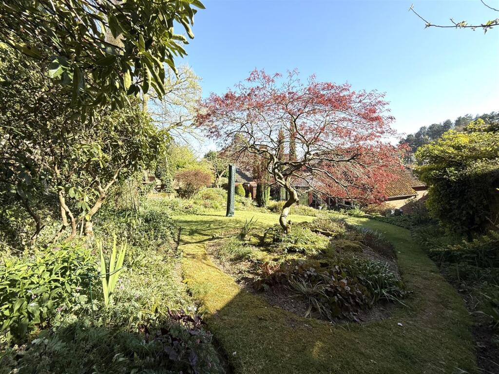 16 the pingle rea.jpeg