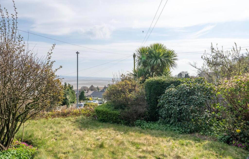 DSC03075 T202601071104.jpg