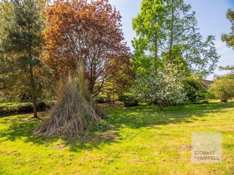 Den Building