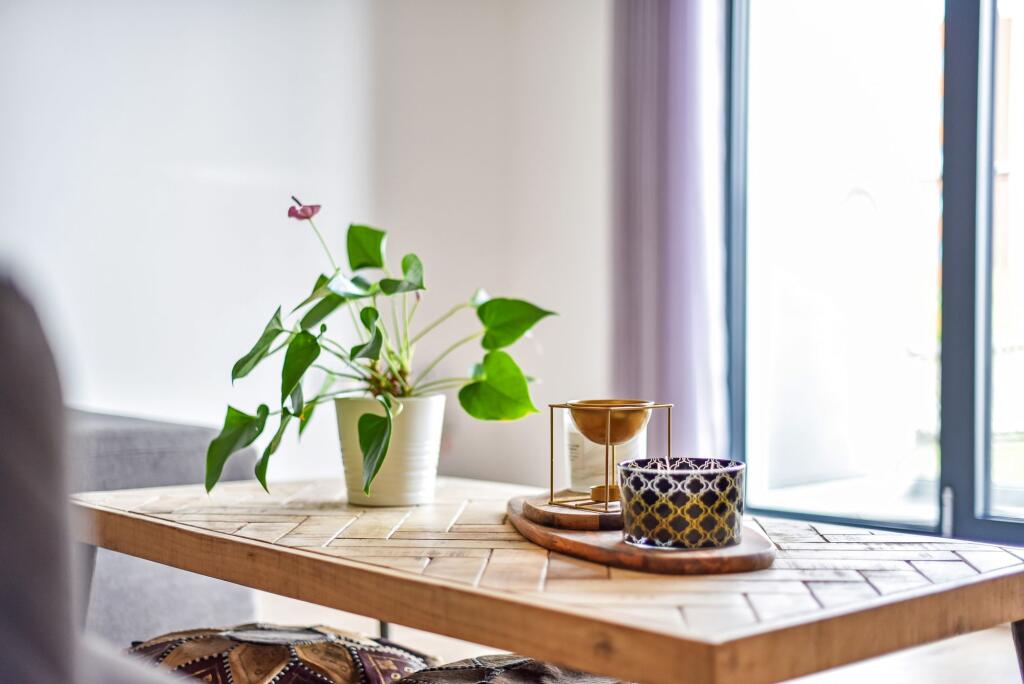 Living / Dining Room / Kitchen