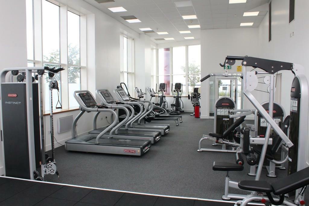 Gymnasium
