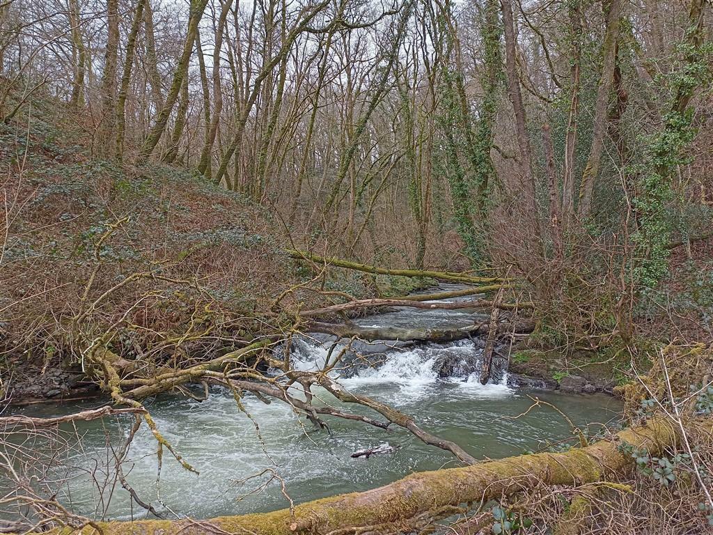 Pretty River Cerdin On Boundary