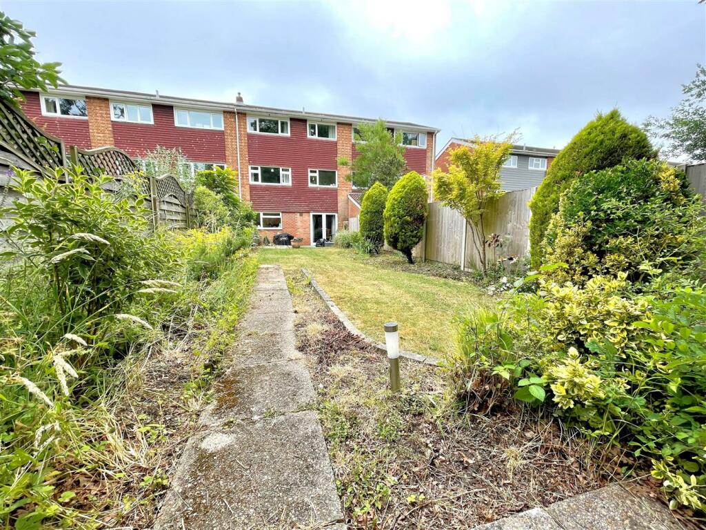 garden 2.jpg