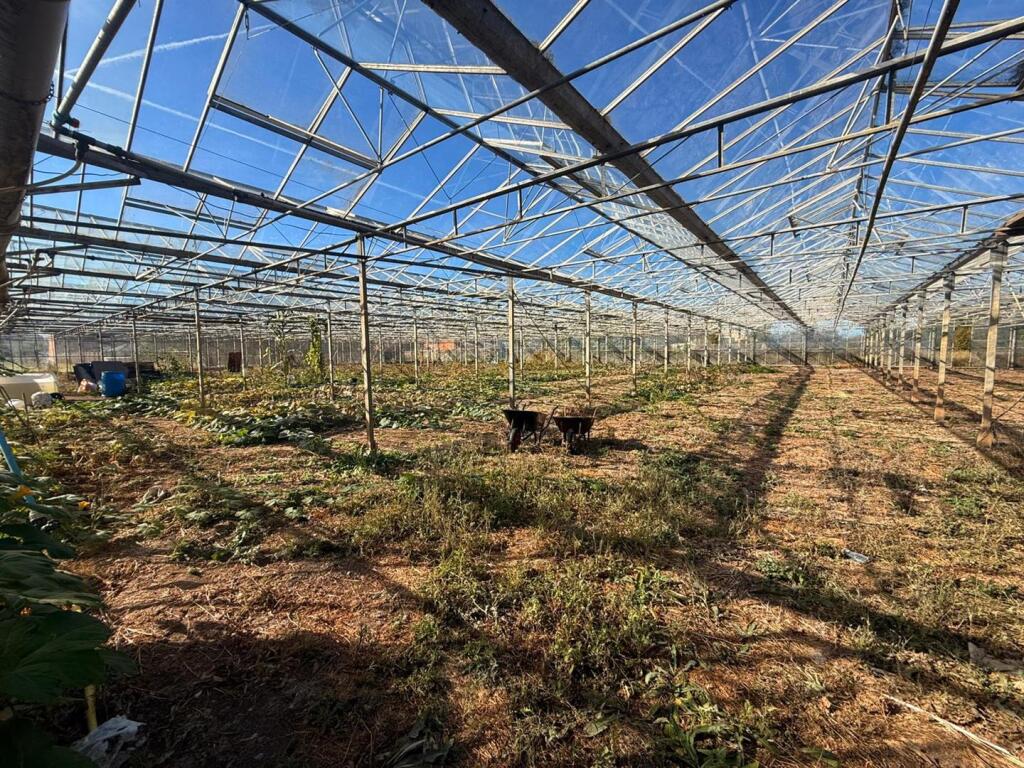 PHOTO-2025-09-24-11-48-47 8.jpg