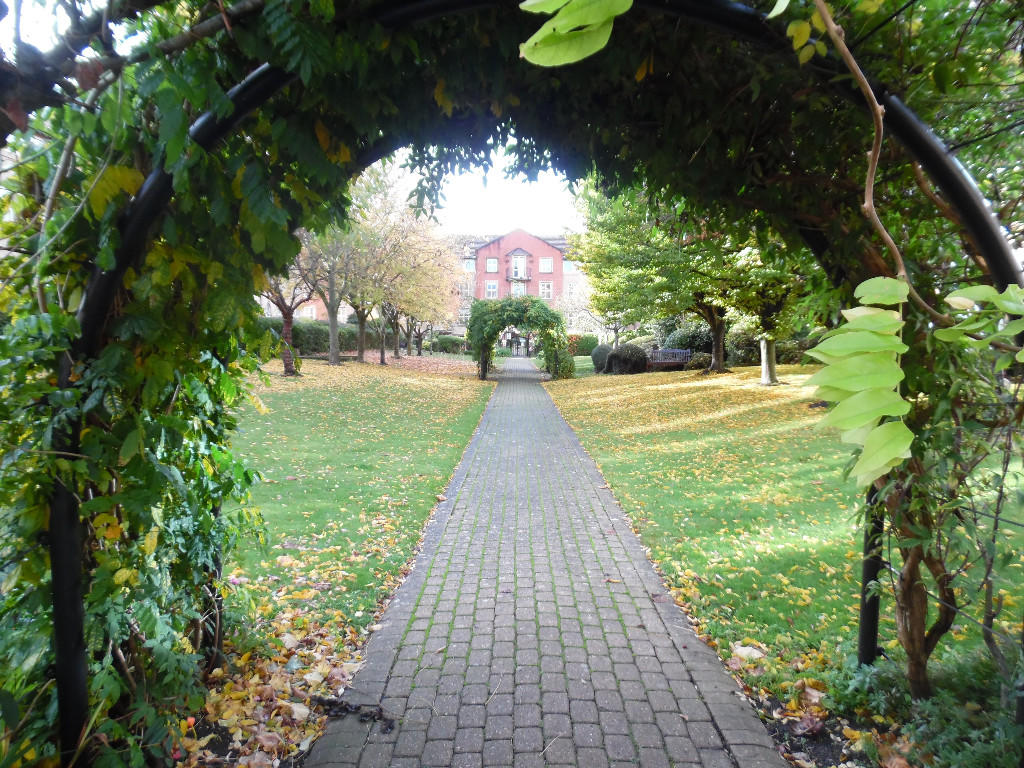 Communal Garden