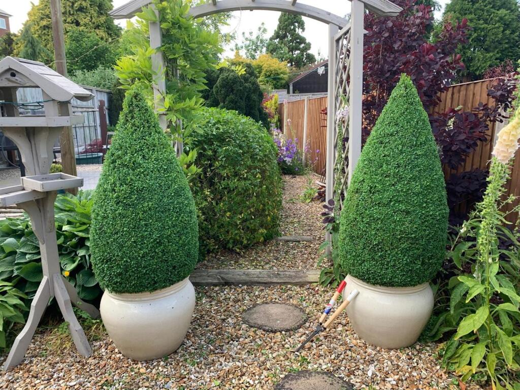 PHOTO-2025-04-08-10-34-44 (007).jpg