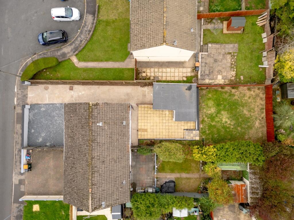 Otter Close-3