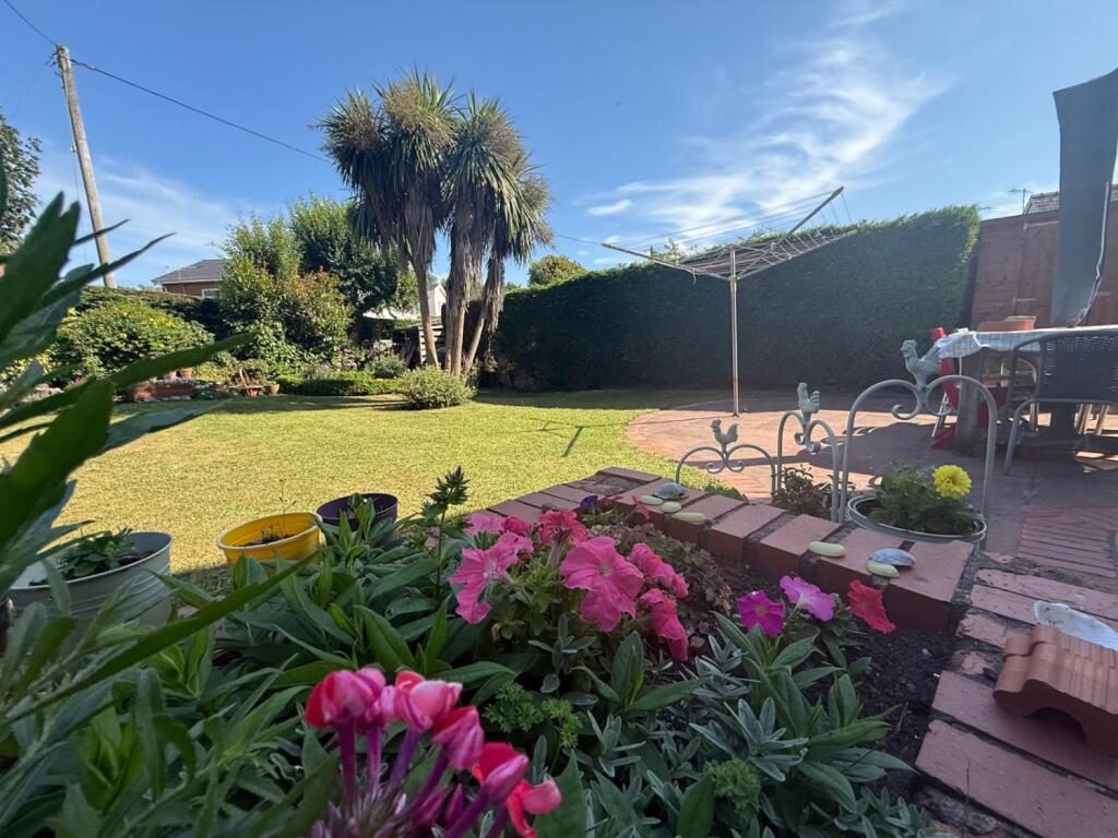 PHOTO-2025-07-08-08-04-48 3