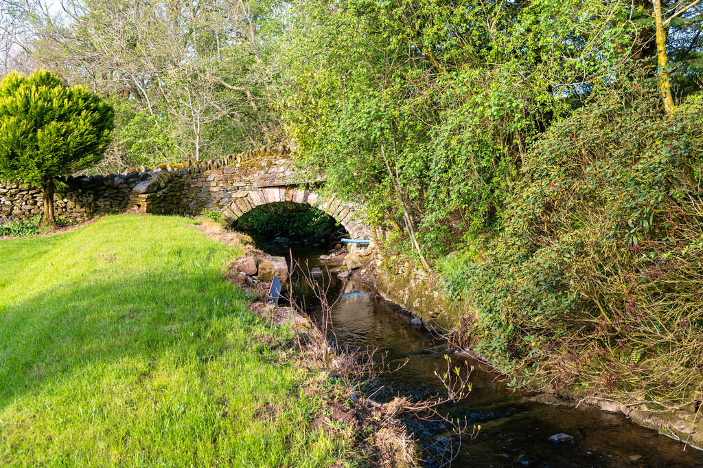 Stream