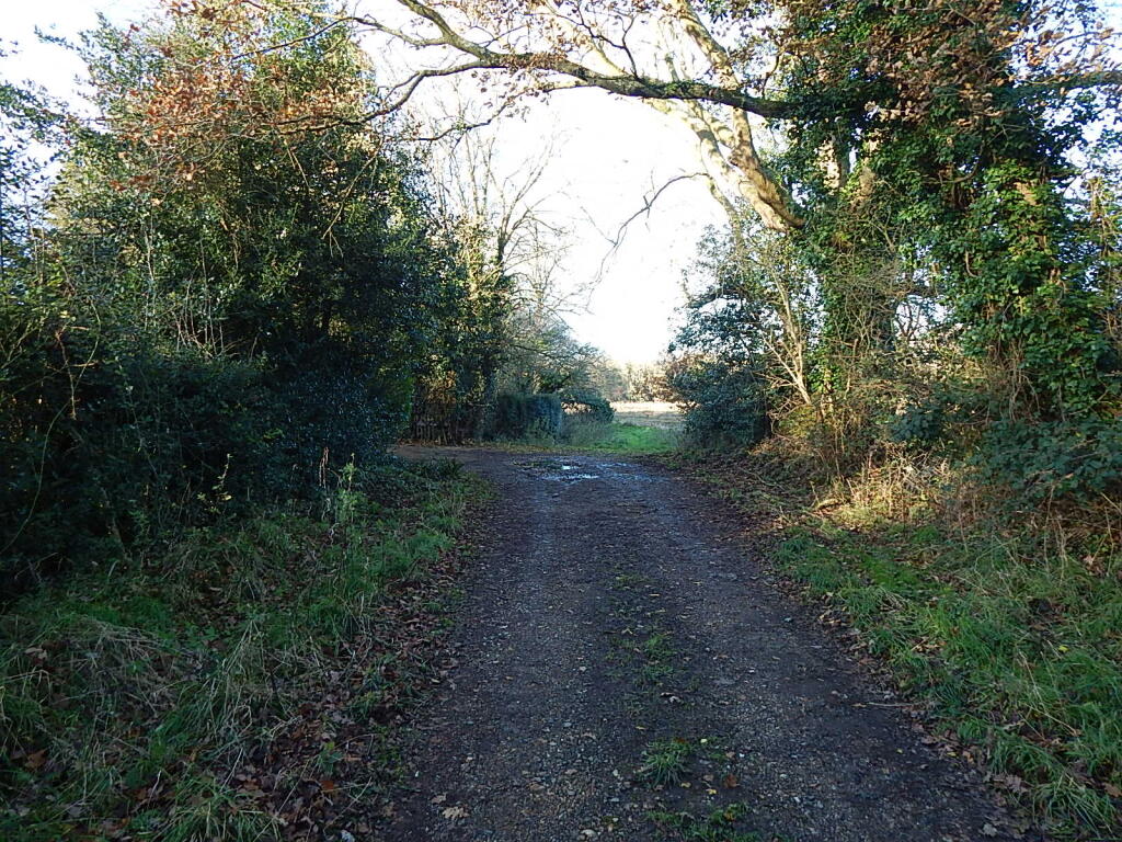 11 T202502241327.jpg