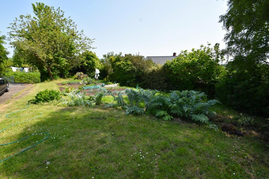 Halberton - Seddons