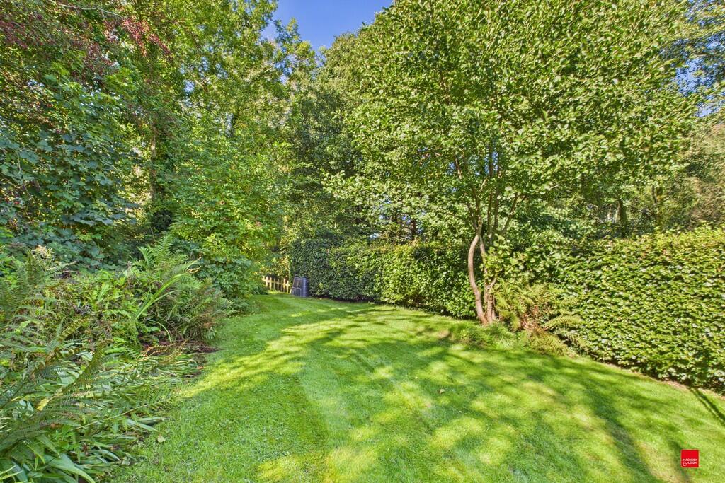 Garden Area