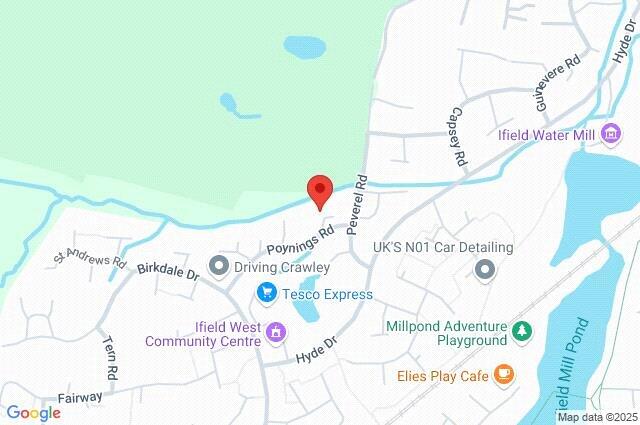 Google Maps Image