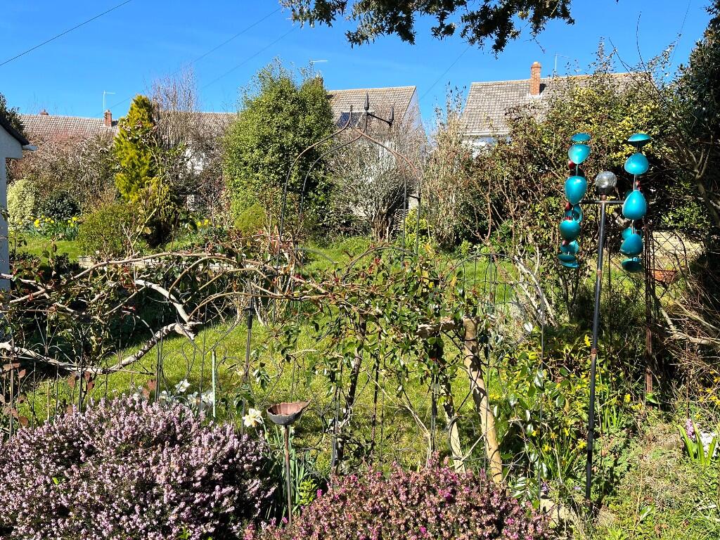 Side garden
