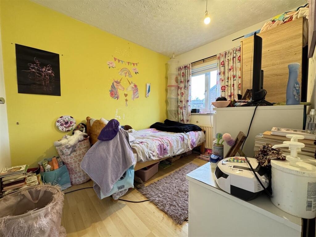 IMG_3767 (Large).JPG