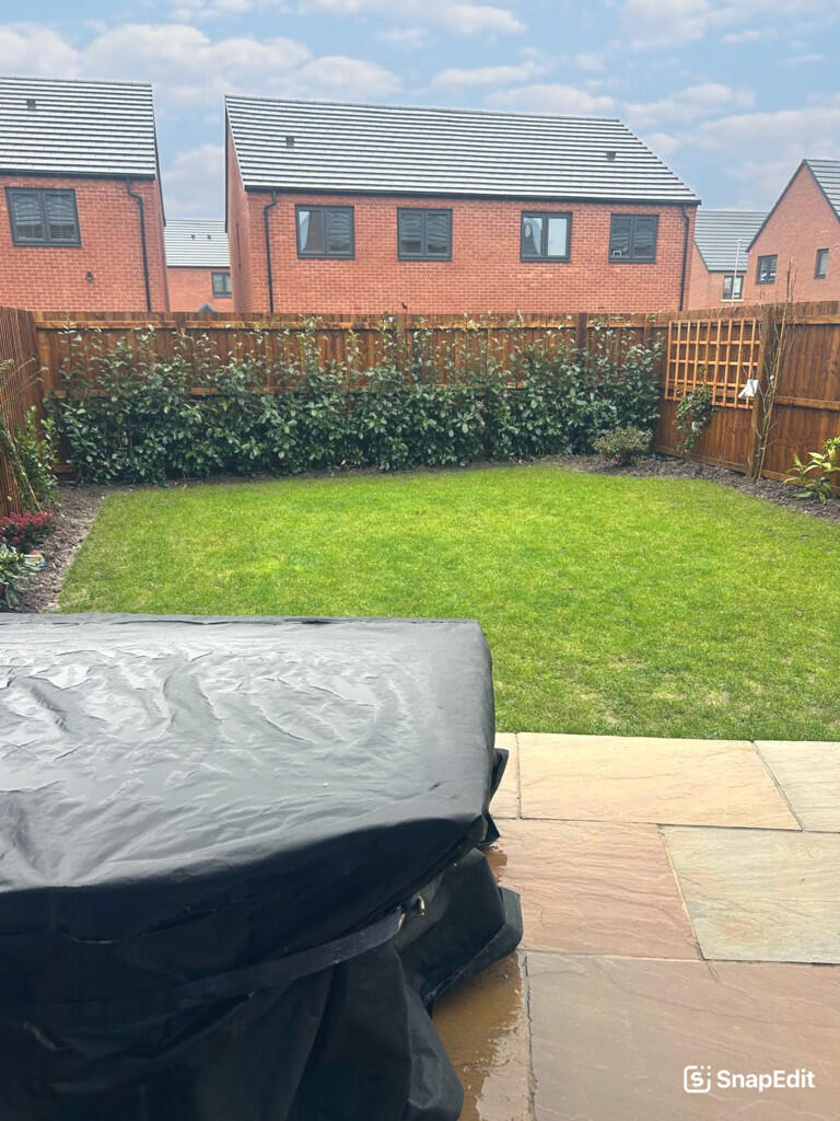 snapedit_17677020...