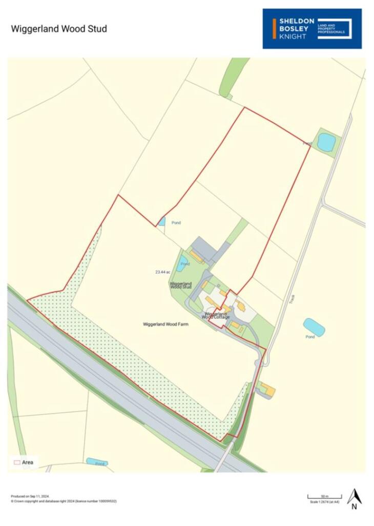 Wiggerland Sales Plan.jpg