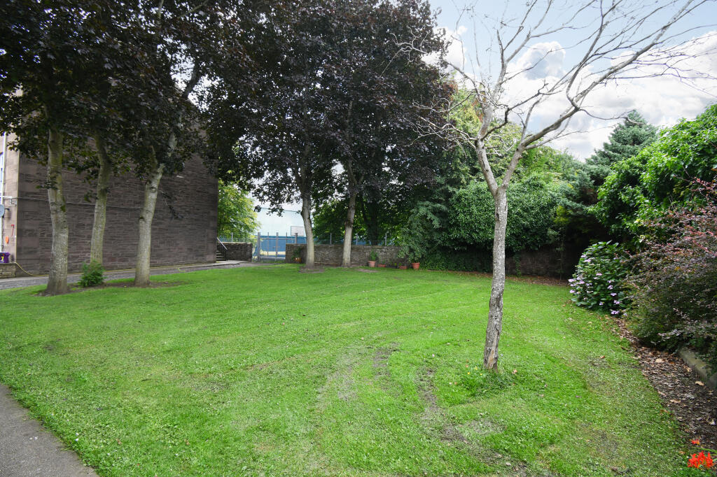 Shared Garden