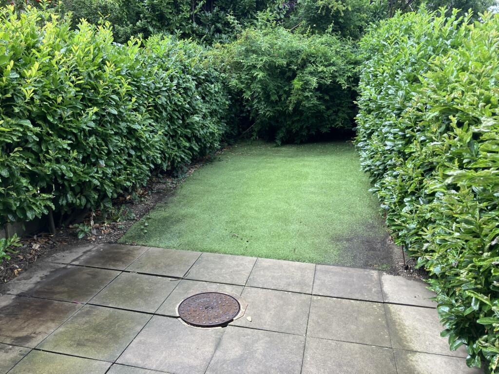 garden (2)