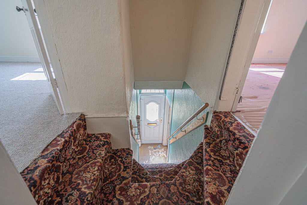 20250815-DSC06158...