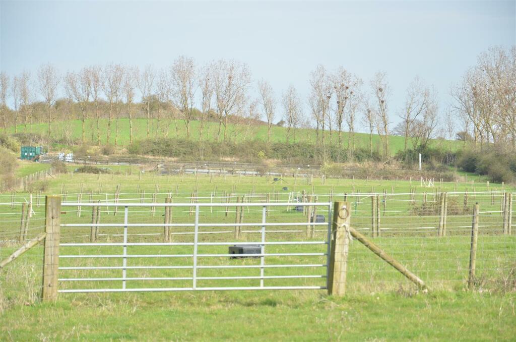 Main fildl with split paddocks.JPG