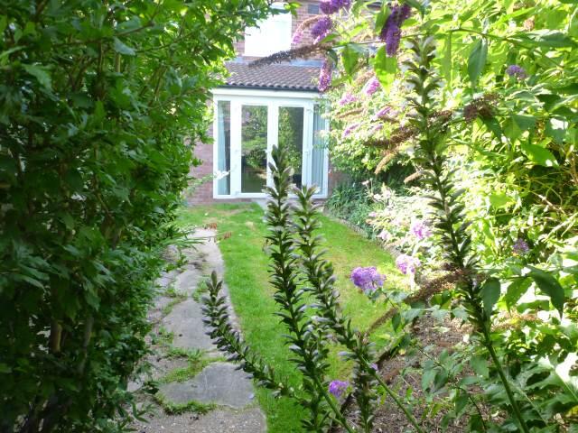 Garden looking towar