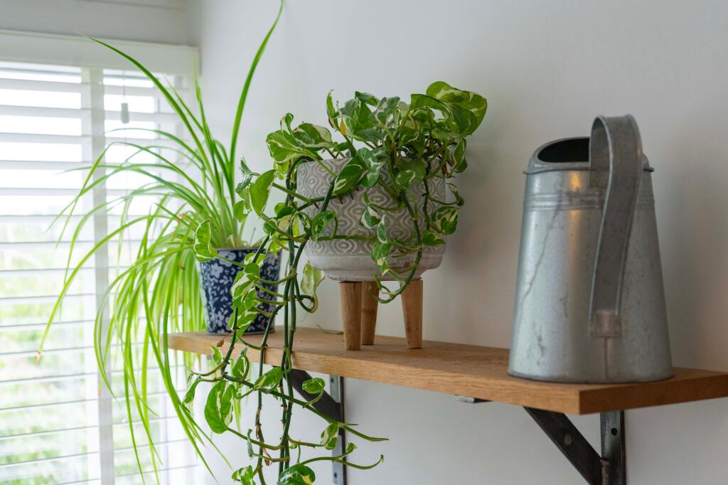 Open Plan Living Kitchen Dining Room