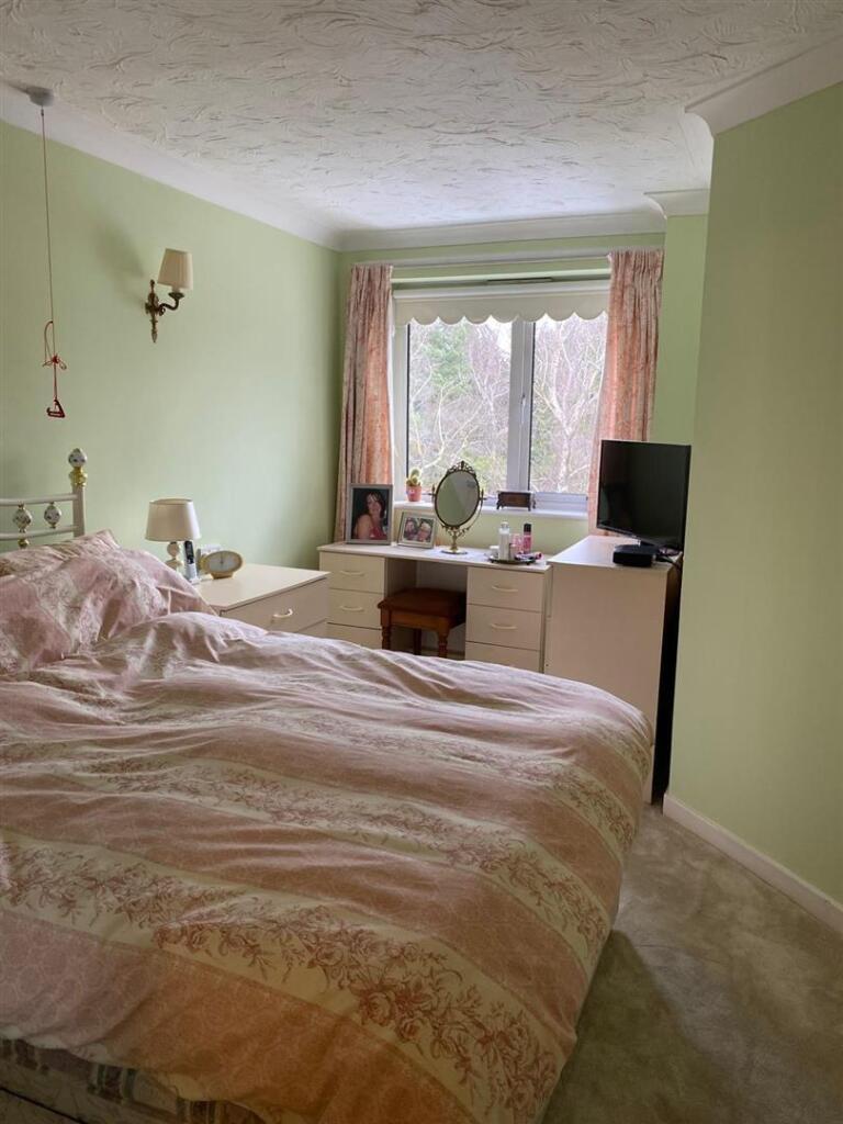 IMG-20250214-WA0011 (Large).jpg