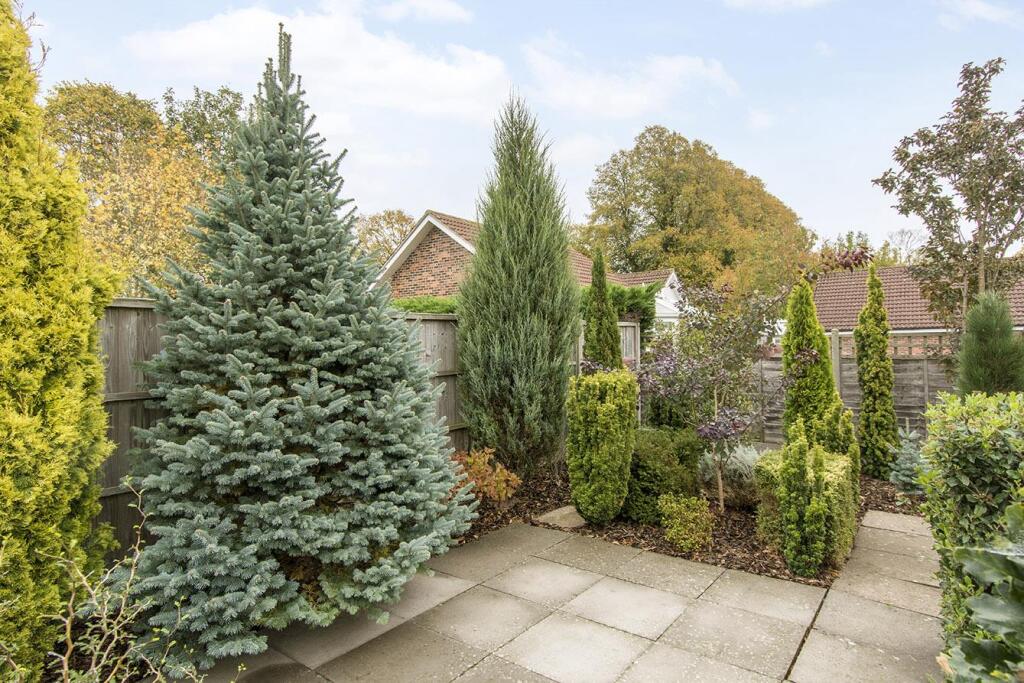 Garden (Photo Two)