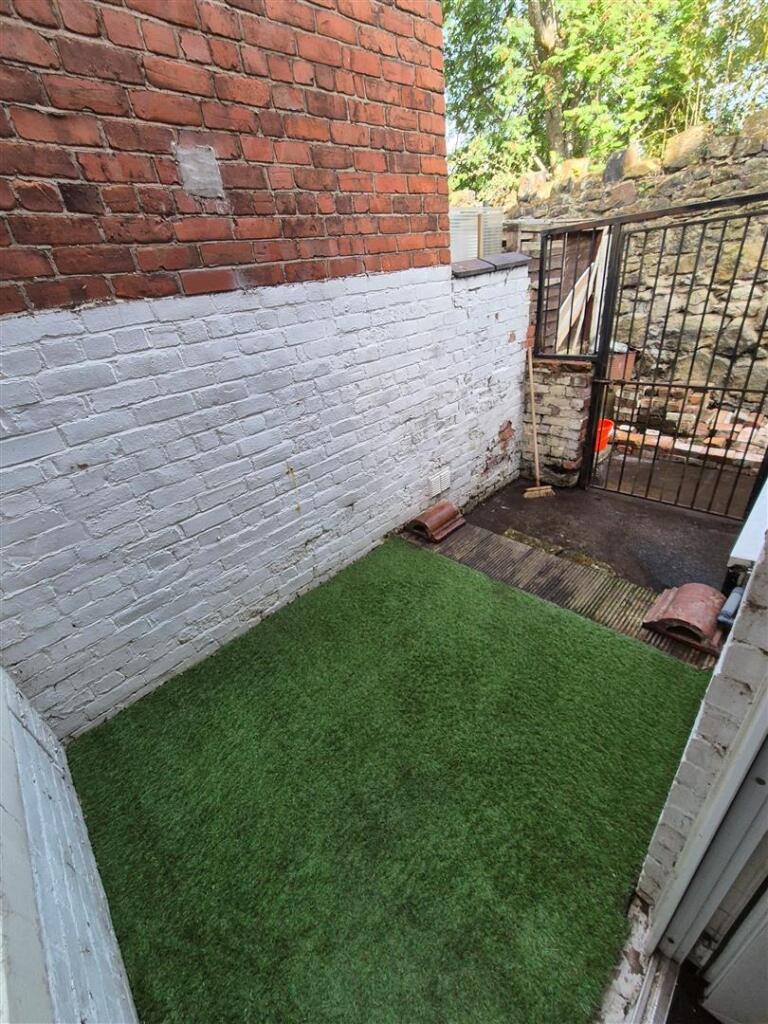 Rear yard.jpg