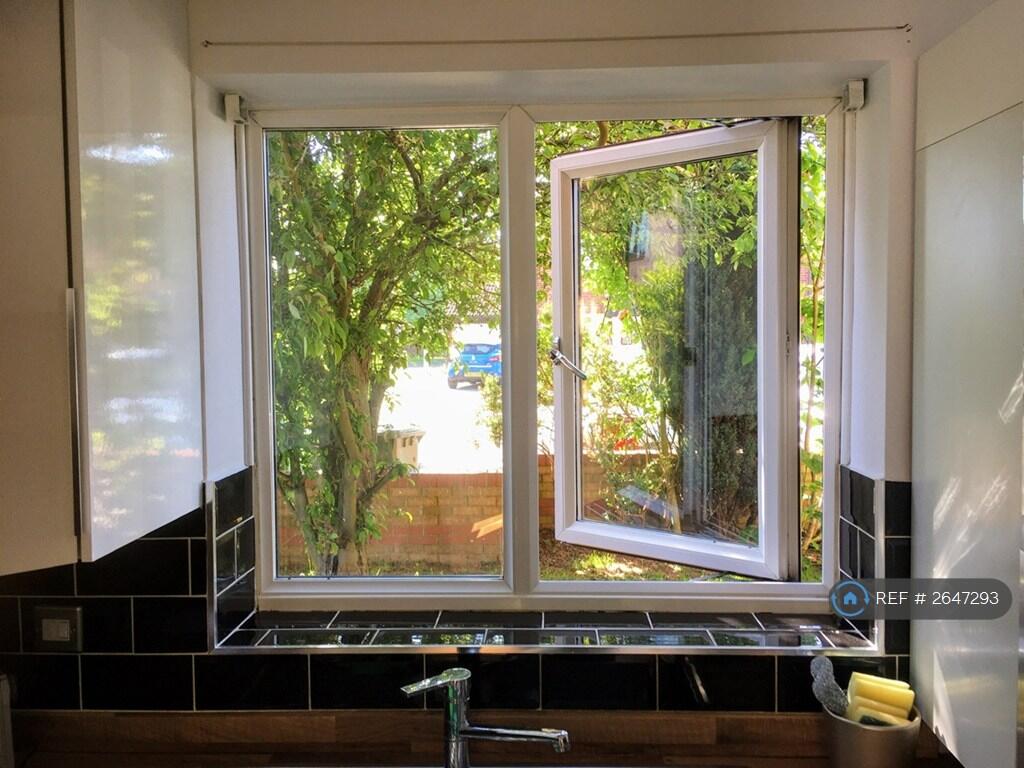 Kitchen Window