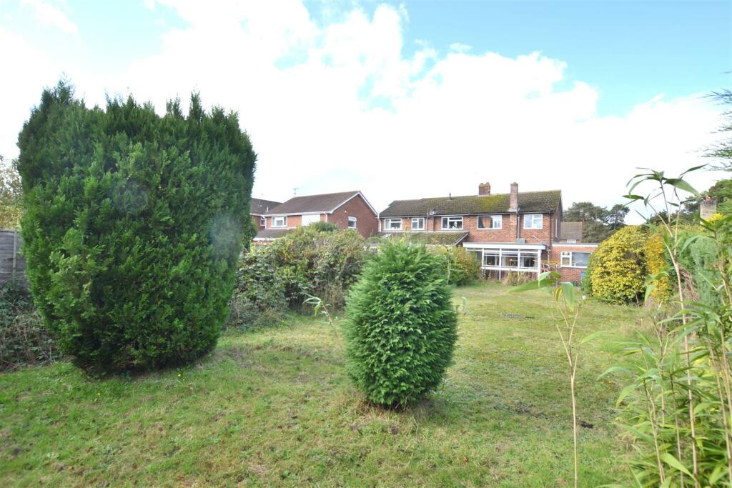 Garden 3.JPG