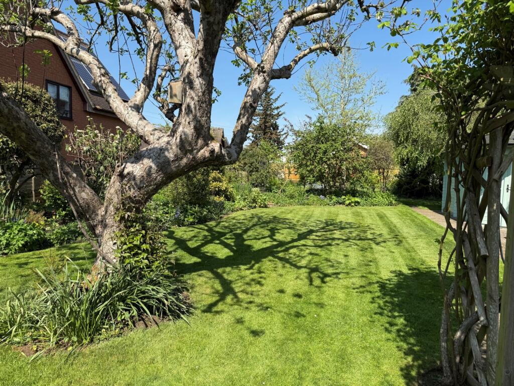 woodbine gdn 4