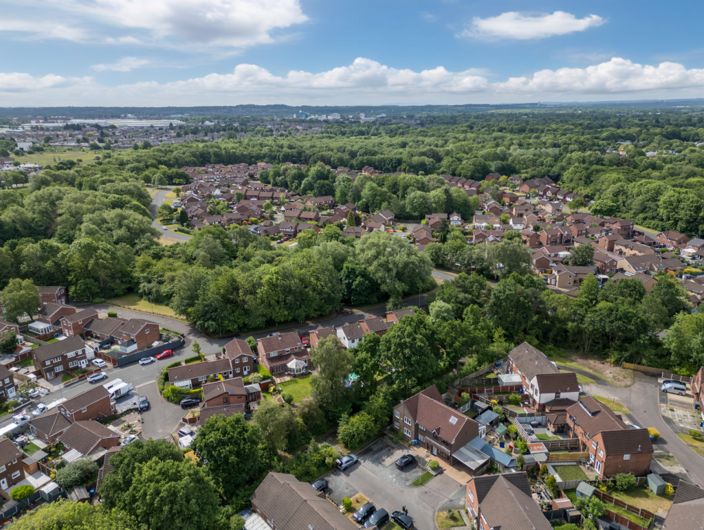 Untitled (5200 x 3900 px) (5200 x 3450 px) (1)