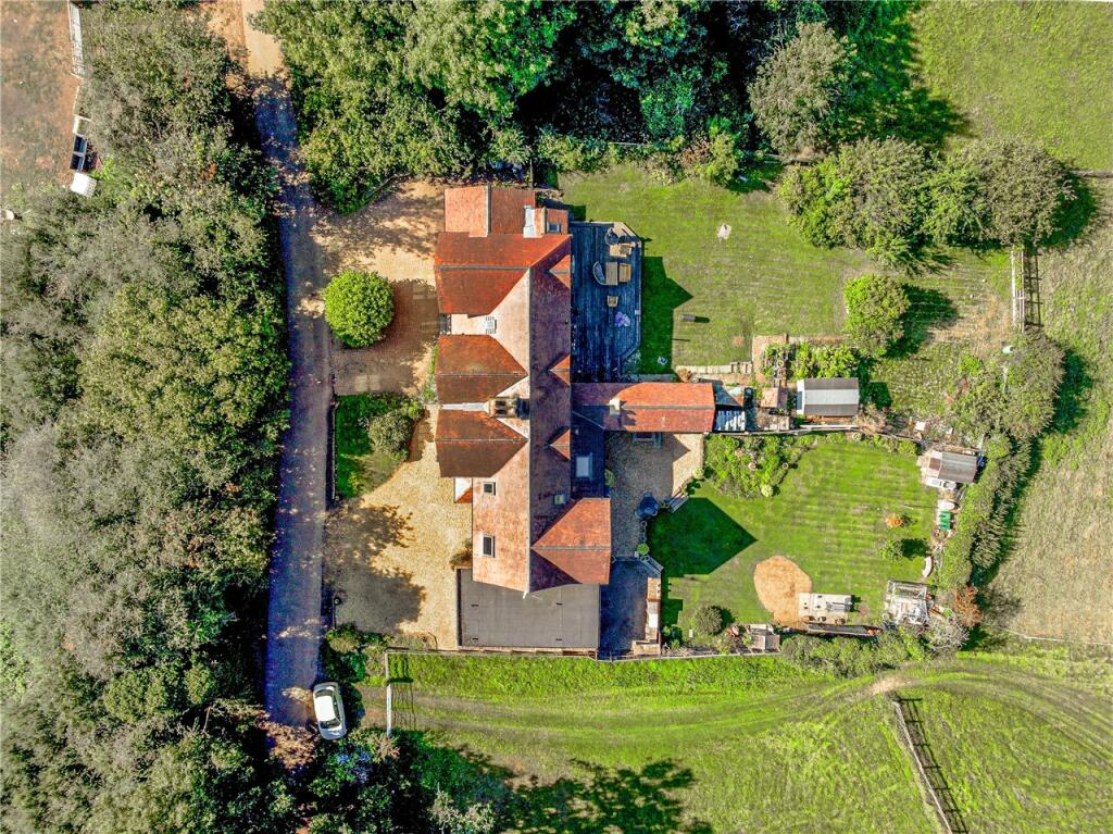 Birds Eye