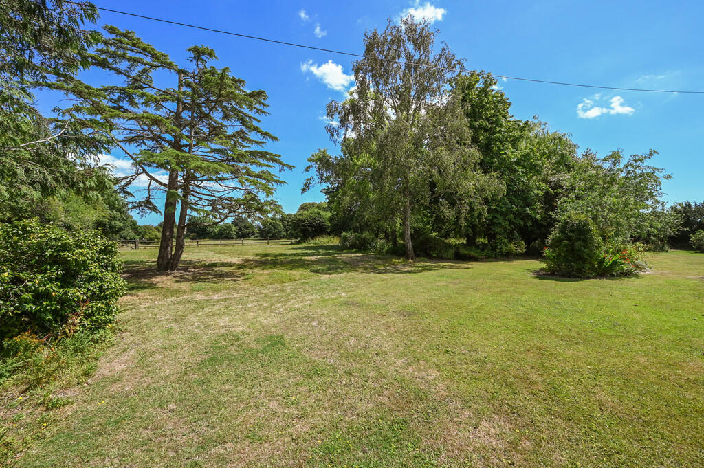 shellfield-new-en...