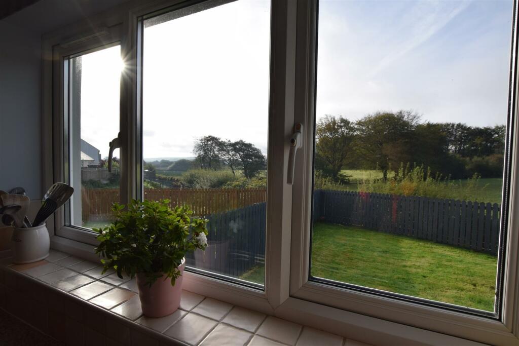 View from Kitchen