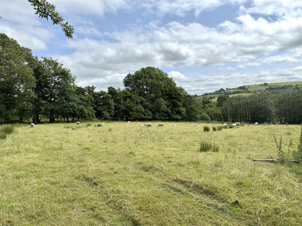 THE LAND