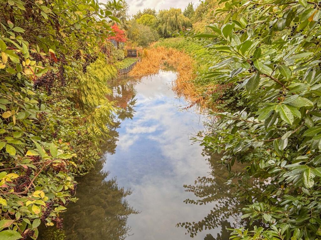 Waterside