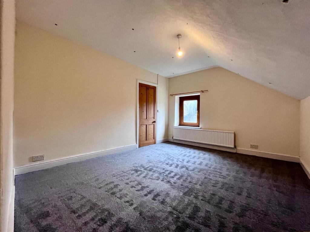 PHOTO-2024-03-14-15-17-00 9.JPG