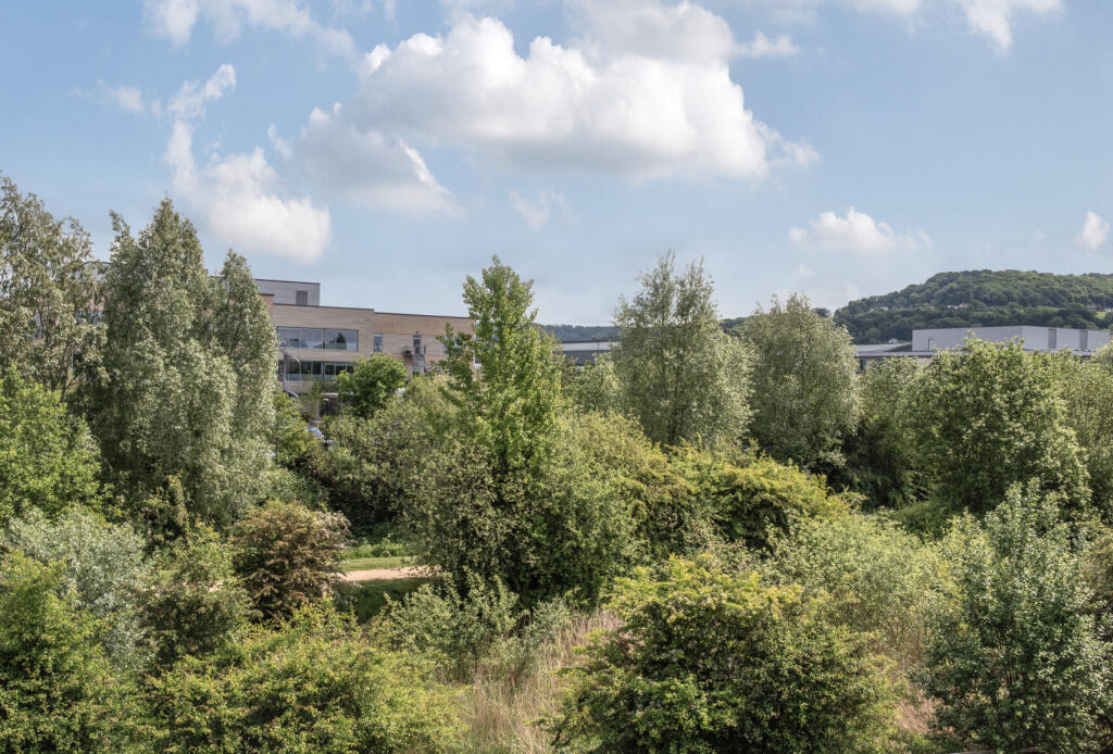 1-6821e4f5edfbe-1...