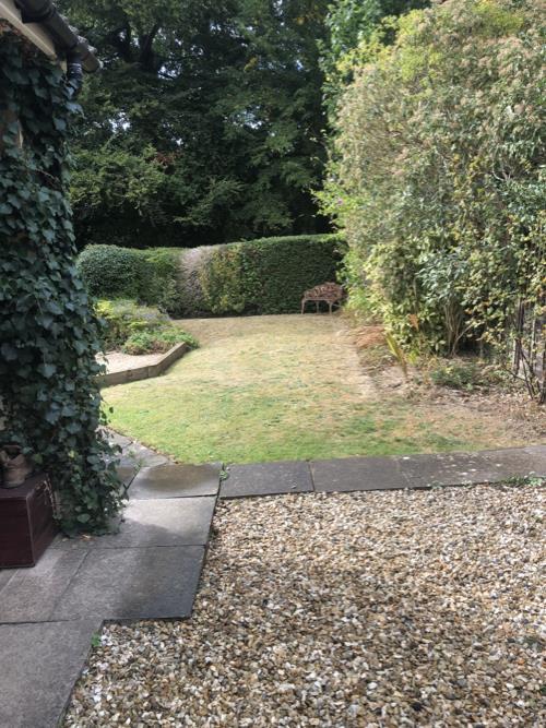 Front garden.jpg