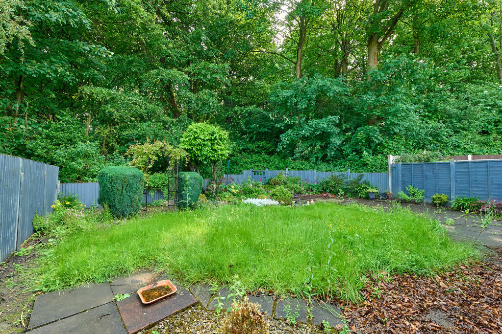 P1462997 T202506031601.jpg