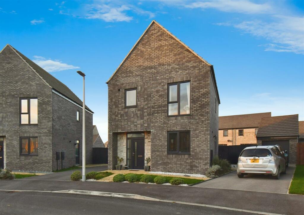 editedimage-d02461aa-92e6-4c91-88ff-9e35c69bef3c 2