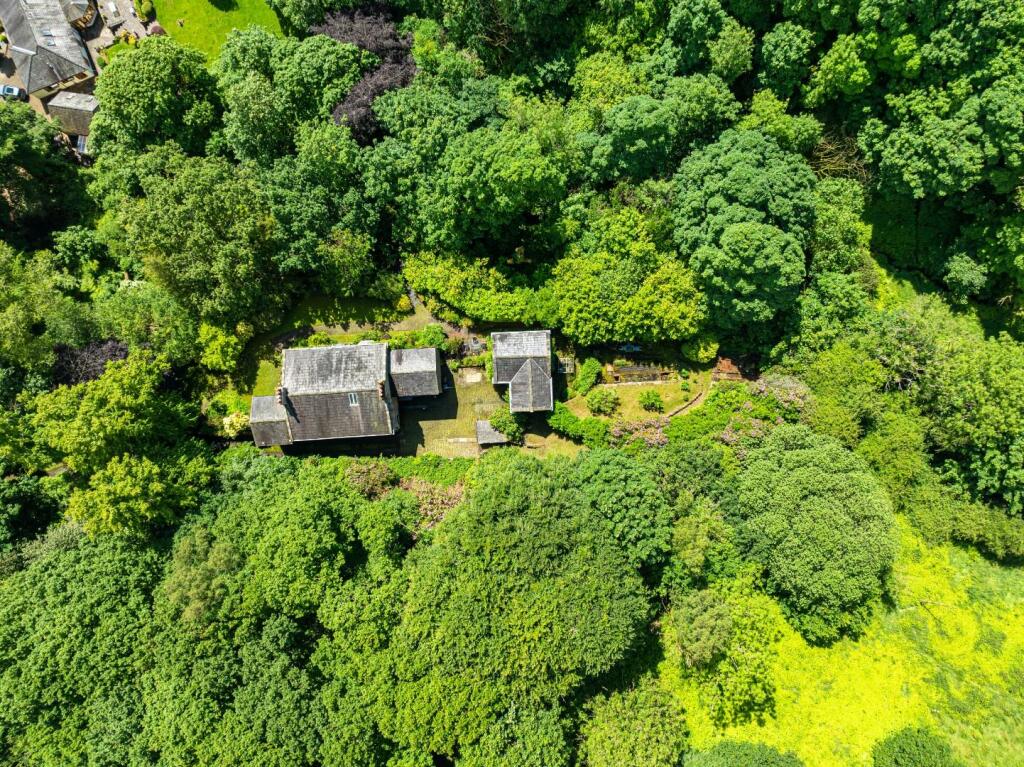 Woodside Aerials-10.jpg