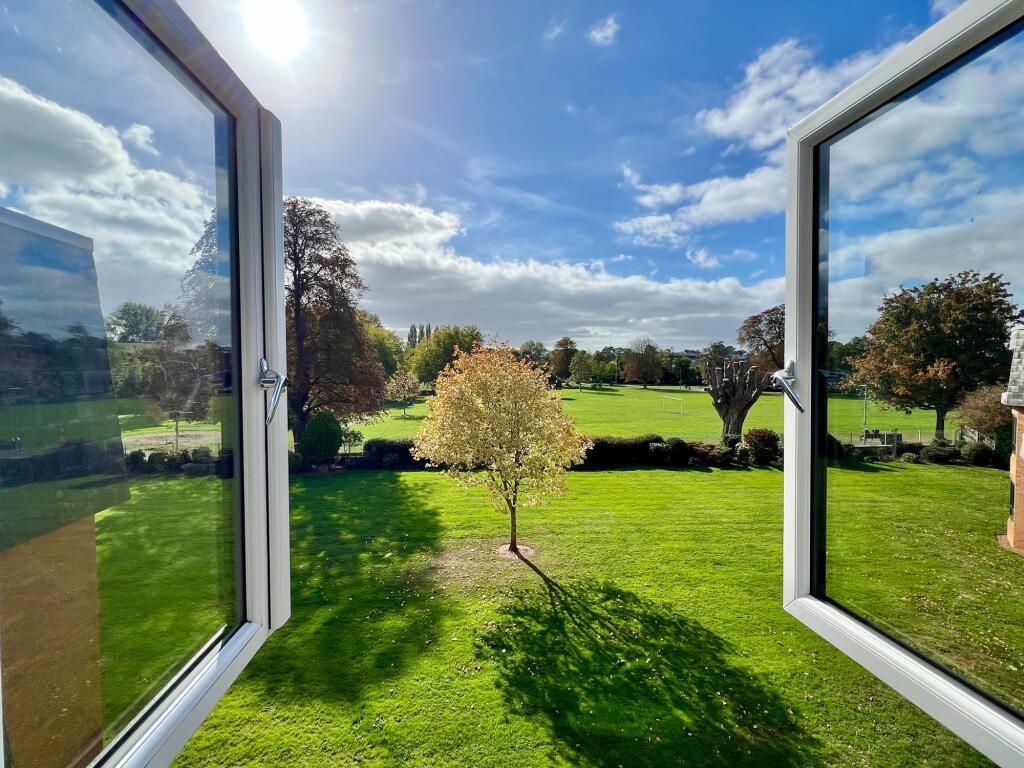 Outlook from Living Dining Room