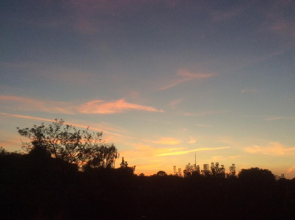Evening Sunset
